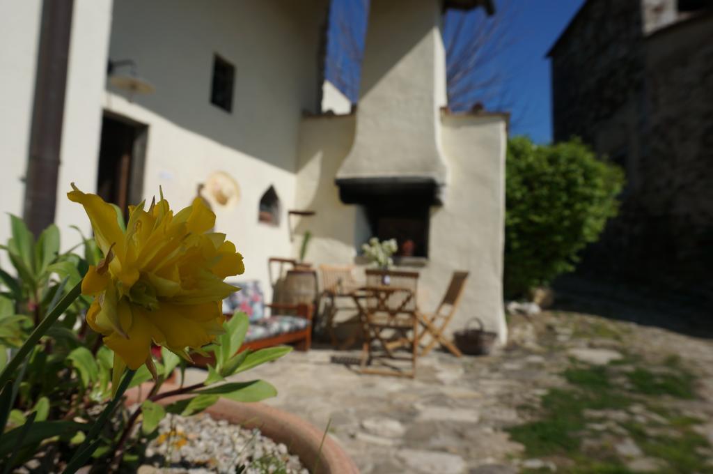 Podere Palazzuolo * Pontassieve