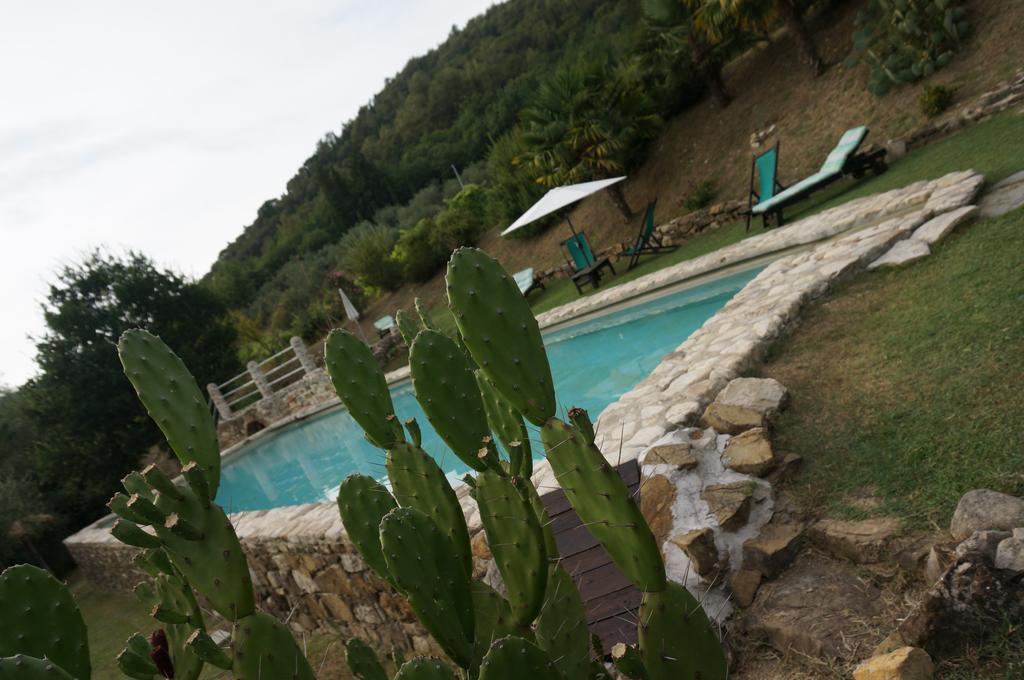 Podere Palazzuolo * Pontassieve